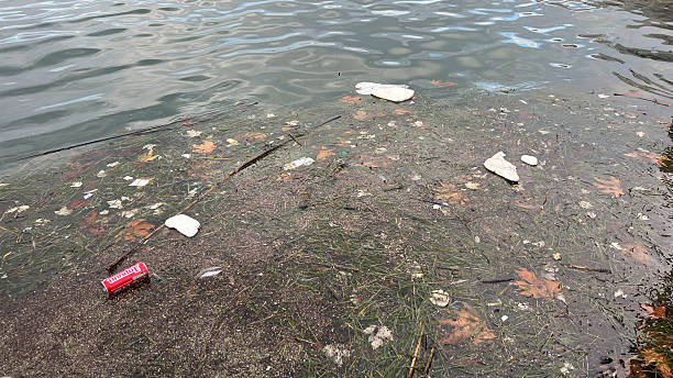 istock Polluted lakeshore with litter and debris in calm water reflection 2249741868