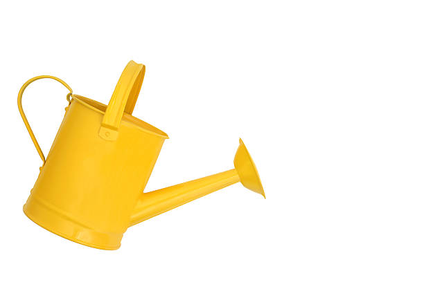 Yellow metal gardening watering can for indoor or outdoor and patio use. Classic decorative garden tool design on white background.