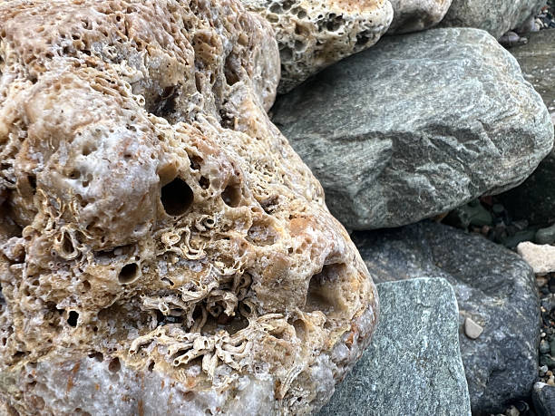istock Close-up of weathered rocks with intricate textures and natural patterns on a beach 2249747231
