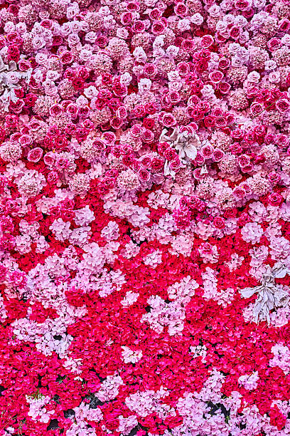 an artistic spatial composition of rose flowers suspended in the air. Art decor, decoration of a boutique shop window