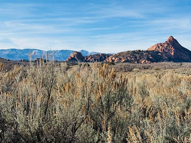 istock Hop Valley Trailhead to Wildcat trail. 2249750934