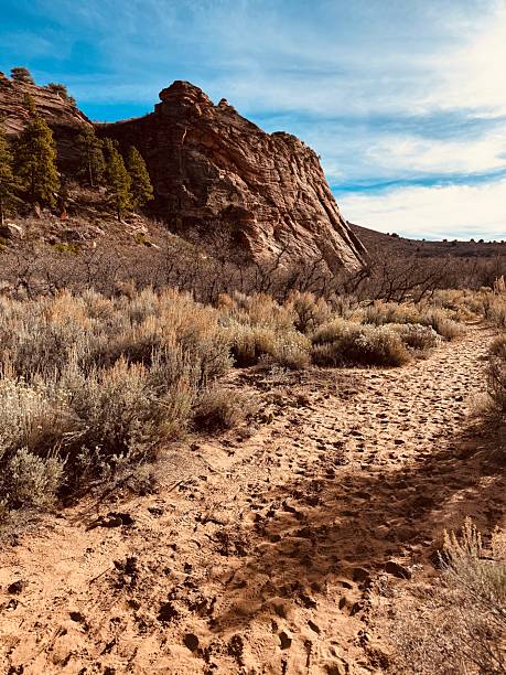 istock Hop Valley Trailhead to Wildcat trail. 2249750953