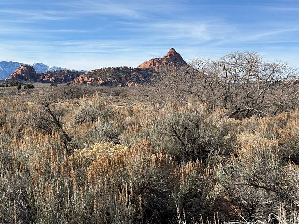 istock Hop Valley Trailhead to Wildcat trail. 2249750954