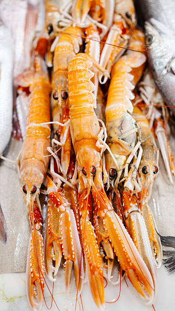 istock large red lobsters on the counter in the store 2249752622