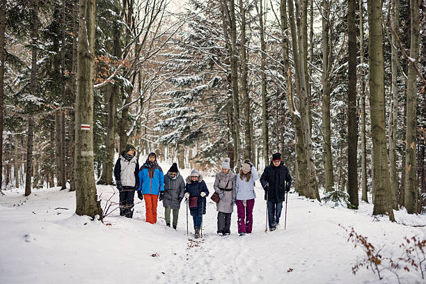 istock Multi-generation group hikes snowy forest trail, framed by tall trees and shared effort. 2249755590