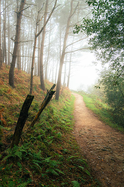 istock Camino del Norte 2249756623