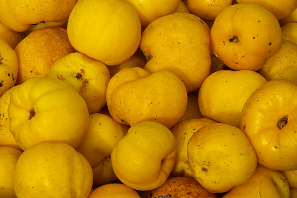 Ripe Japanese Quince fruits in bowl. Chaenomeles japonica.