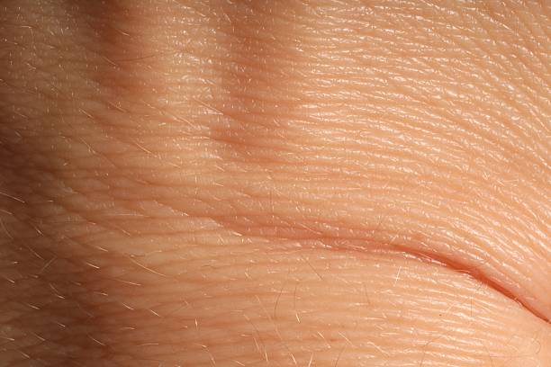 Legs hair close up.