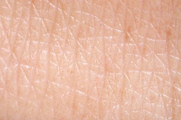 istock Human skin, closeup view. Detailed texture of surface 2249759832