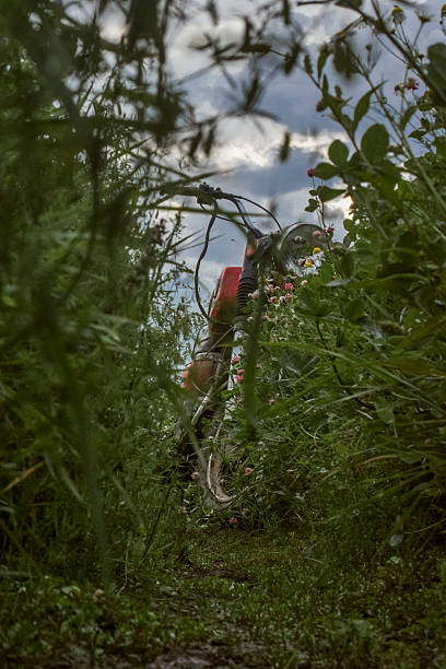 lush trail scene, scenic bicycle path with nature, vegetated corridor featuring cyclist silhouette