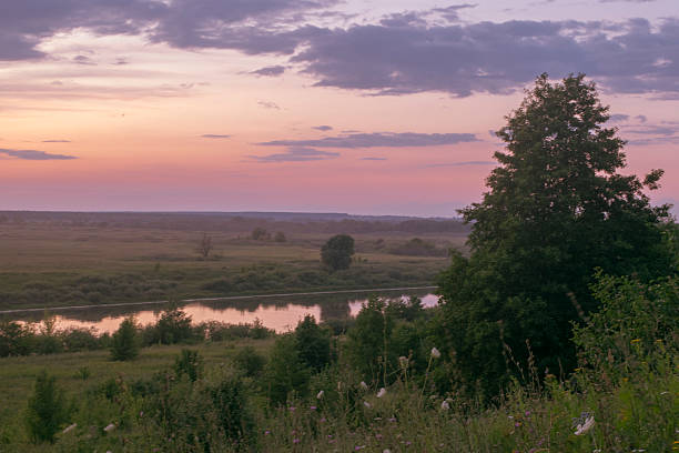 an isolating countryside view showing lone tree and gently moving water during sunset hours