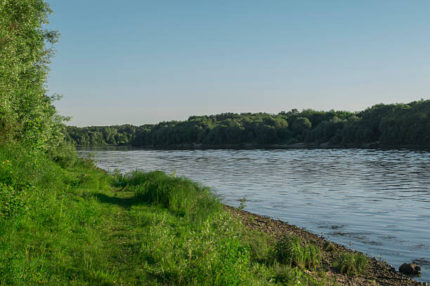 istock peaceful riverbank with grassy surroundings, tranquil scene featuring flowing water and lush 2249764111