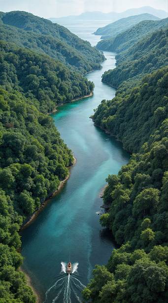 A boat is traveling down a river in a forest. The water is blue and the trees are green.
