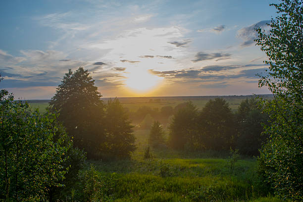 twilight peaceful scene, evening light on tranquil plains, sunset creates calm in wide open spaces