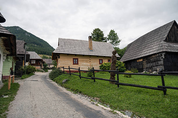 Ruined overgrown wooden house in abandoned village