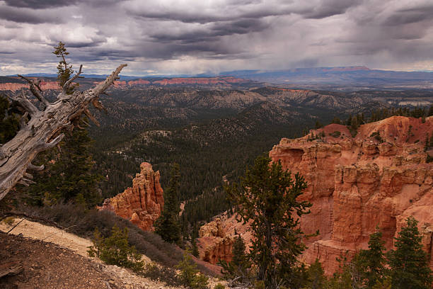 istock Black Birch Canyon in Bryce Canyon National Park 2249772370