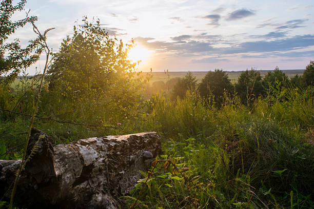 calm horizon with glowing sun and distant trees, serene valley reflected in sunset on peaceful river