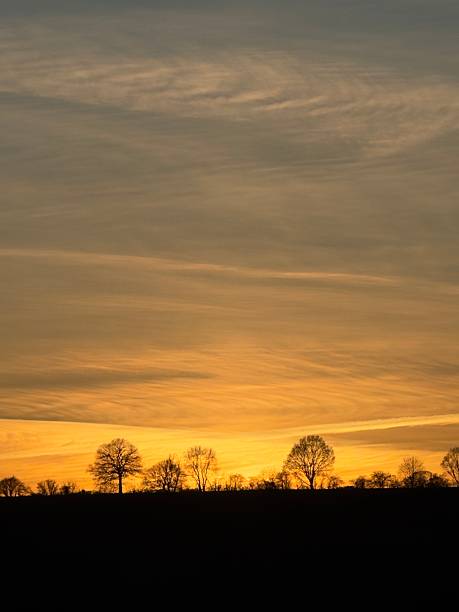 The winter sun sets behind a hill with the bare trees lining the horizon in silhouette on a winter afternoon