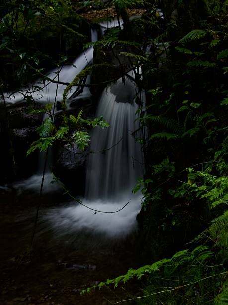 istock Long-exposure view of a small forest waterfall 2249774658