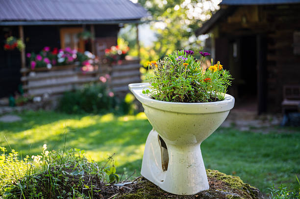 A toilet bowl with flowers planted in it, standing outside