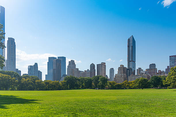 istock Sheep Meadow in Central Park with skyscrapers on the background. 2249784558