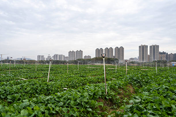 istock Sprinkler Irrigation System in Urban Agricultural Field 2249784777