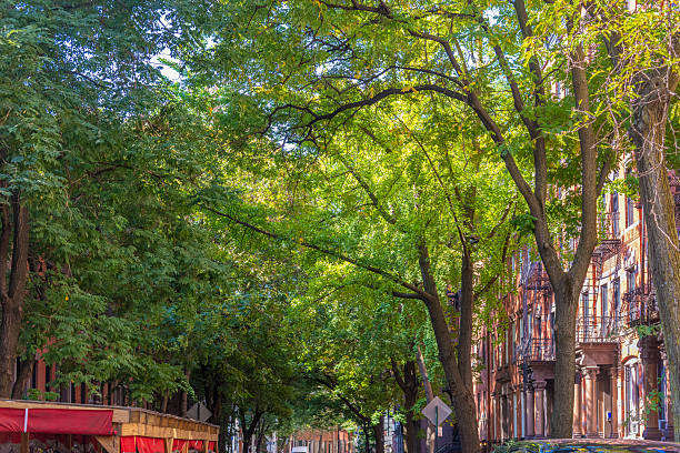 istock Orange trees in Greenwich Village on a sunny day 2249785446