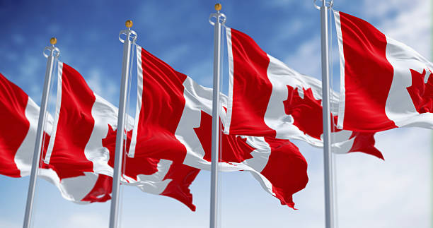 istock Canada national flags waving in the wind on a clear day 2249785546