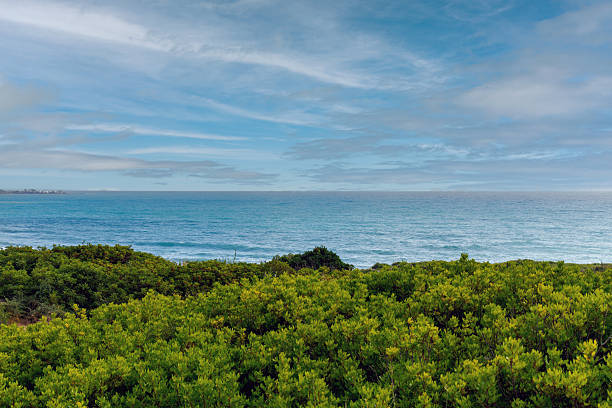 istock Blue ocean background with coastline covered by green bushes. 2249789132