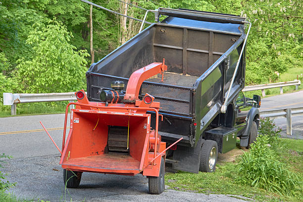 istock Wood chipper and dump truck 2249791781