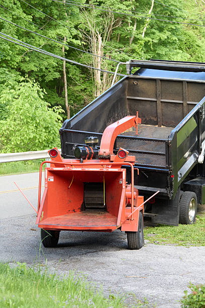 istock Wood chipper and dump truck 2249791868
