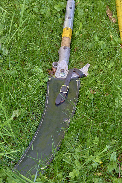 istock Cutting equipment on the lawn 2249791869