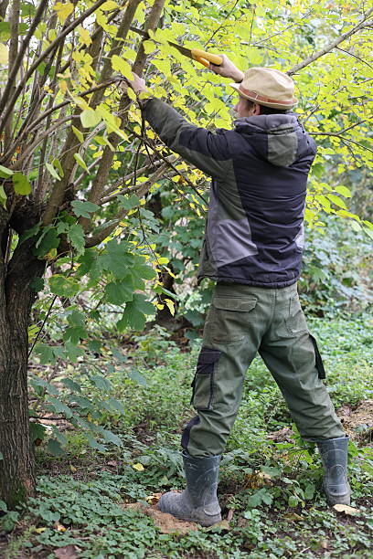 istock Country man wood worker farmer with handsaw 2249791955