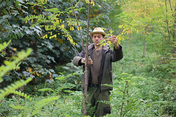 istock Gardener worker at own home, rural countryside man 2249792615