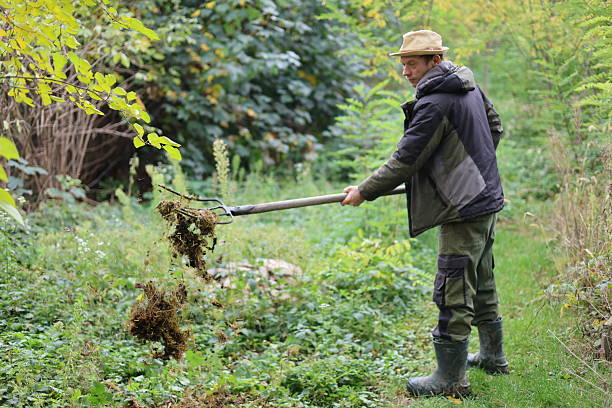 istock Gardener worker at own home, rural countryside man 2249792617