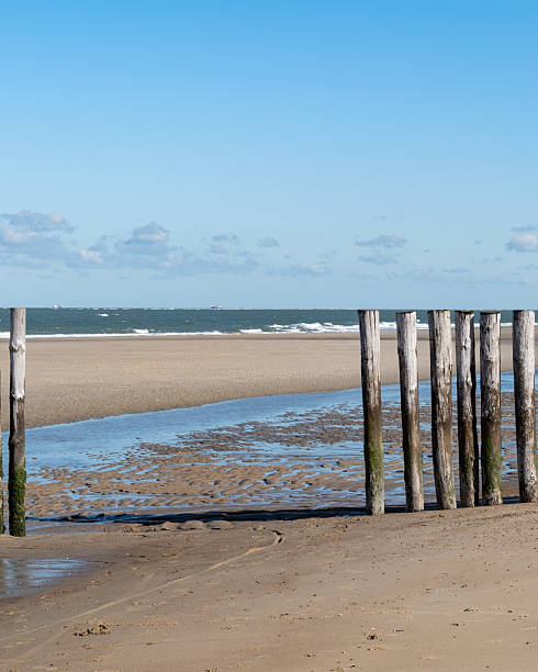 istock Wooden breakwaters on the North Sea 2249796518