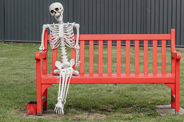 istock Close-up of a Halloween skeleton on a red bench 2249796734