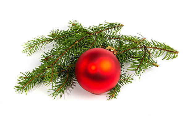 A matte red Christmas tree ball with fir branches. New Year's and Christmas elements on a white background.