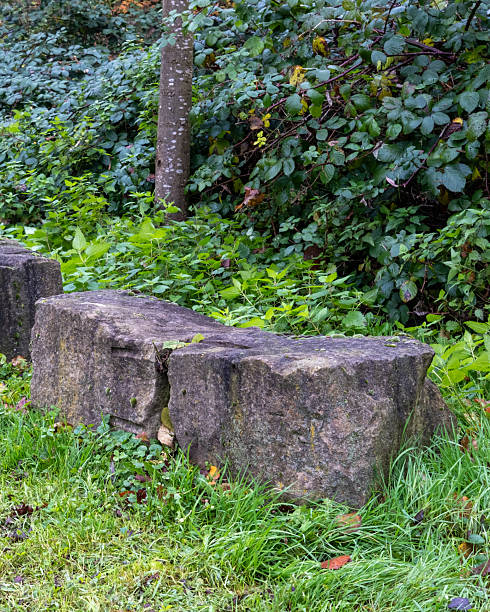 istock Row of stone blocks defining path in lush green park 2249805608