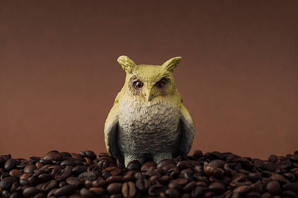 Creative surreal owl and coffee beans composition against brown background. Minimal coffee concept. Unique still life photo.