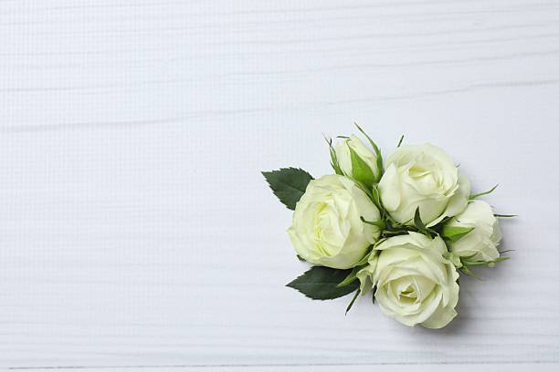istock Beautiful white roses on white background 2249811681