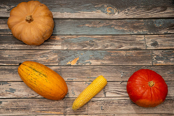 colorful ripe pumpkins