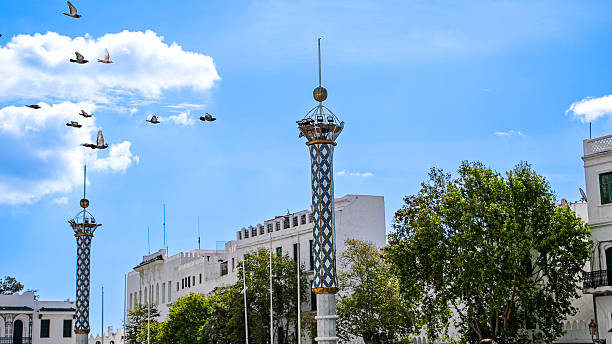 This image captures two intricately patterned architectural columns with distinctive Islamic and Moorish design elements located in the heart of Tetouan, a northern Moroccan city known for its blend of Andalusian and Arab heritage. The columns are adorned with blue and white geometric patterns and topped with golden finials, standing prominently in a public square framed by white colonial-style buildings and lush greenery. The clear sky and sunlight enhance the vibrant yet elegant atmosphere of this UNESCO-listed historic city, making it a striking representation of Moroccan cultural and architectural identity.
