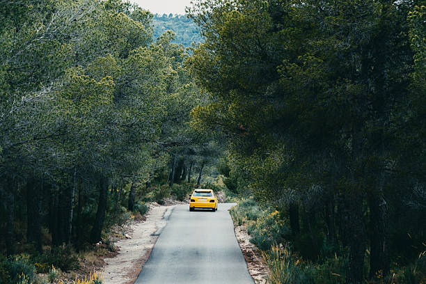 Yellow car driving through a forest road surrounded by lush greenery.
