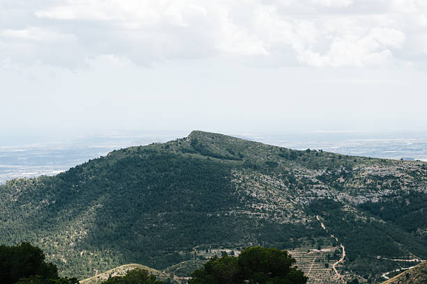 Scenic mountain view with dense forest and expansive sky in natural landscape.