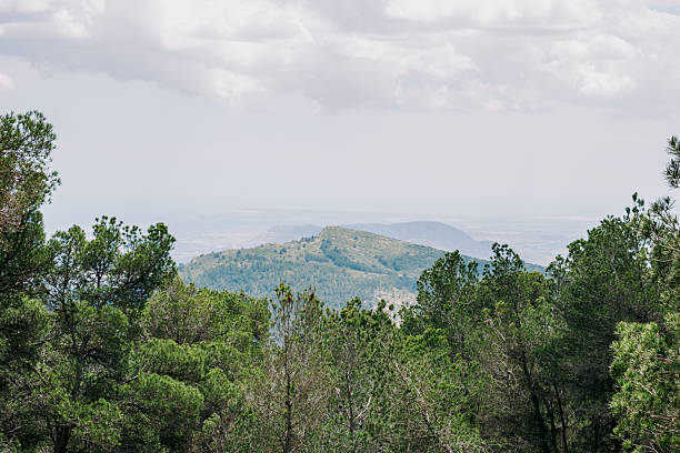 istock Scenic mountain vista with lush green pines under cloudy sky 2249824898