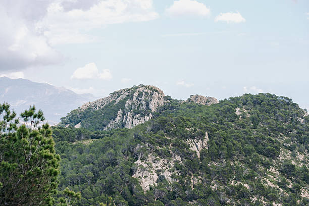 Mountain landscape with lush greenery and rocky peaks under cloudy sky.