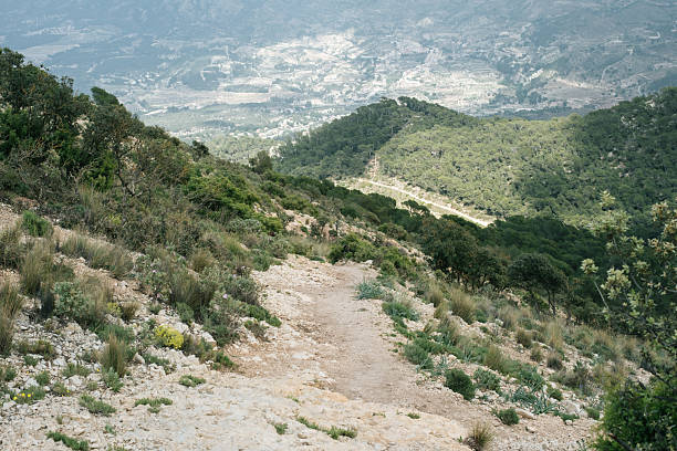 Scenic mountain path overlooking verdant hills and valleys.