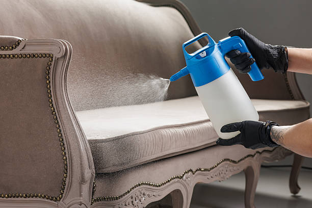 istock Disinfectant sprayer applying cleaner to upholstered sofa in home interior 2249825358