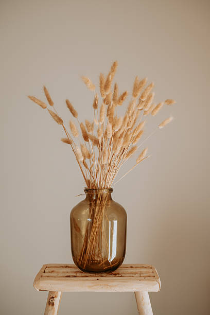 istock Clean minimal decor with dried flowers 2249829283